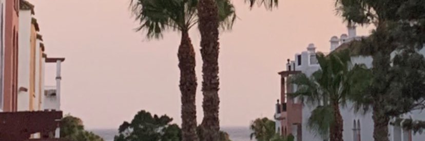 miguel banner