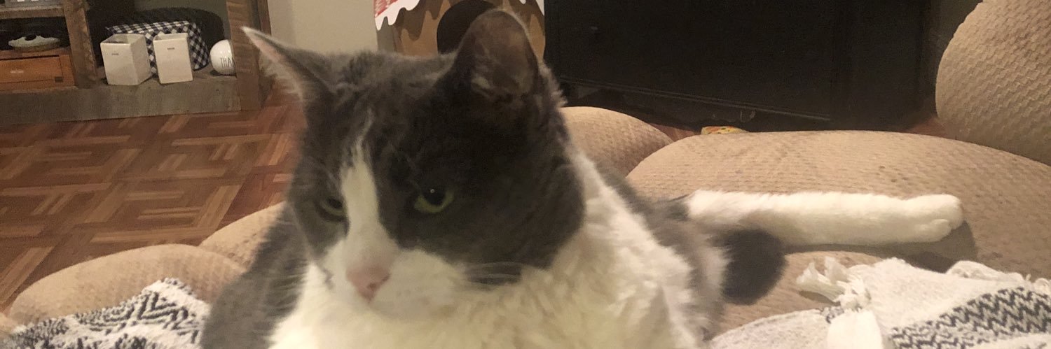 Marissa Wooten ☮️ banner