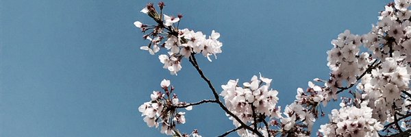 IndraJoshi10 Profile Banner