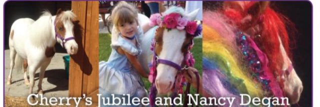 NancyDegan's profile banner image