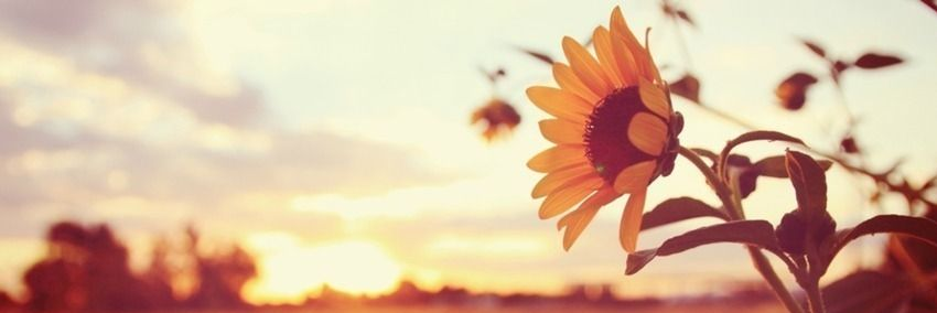 RedaUzcategui's profile banner image
