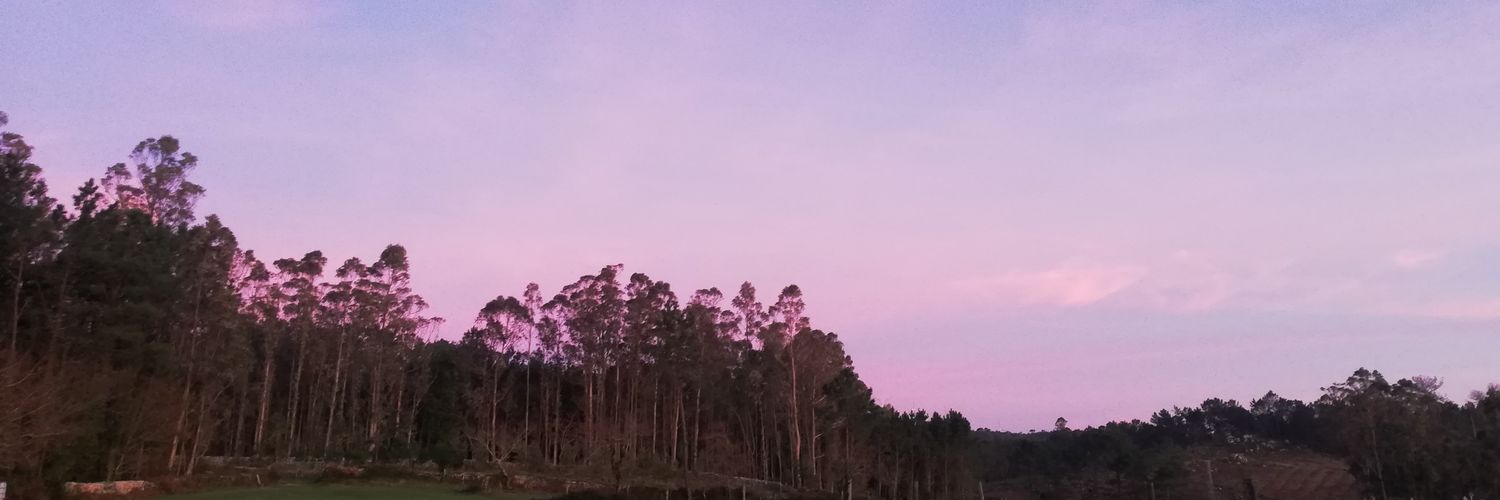 MartaCanosa_'s profile banner image