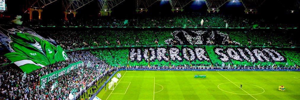 مهدي | بطل النخبة 🏆💚 banner