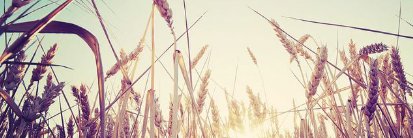 AshW1210's profile banner image