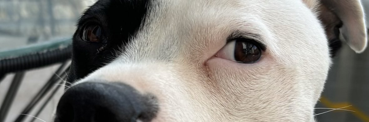 aguscagnacci's profile banner image