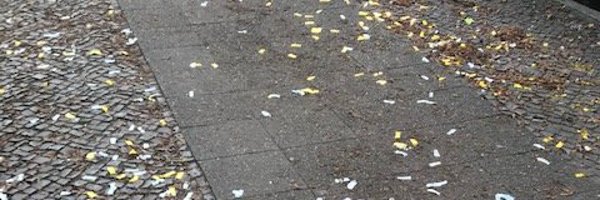 IngaDreyer Profile Banner