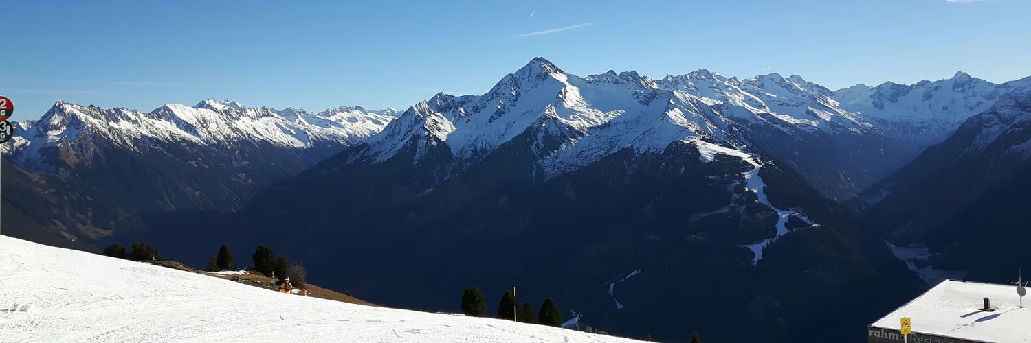 Charlotte Colley banner