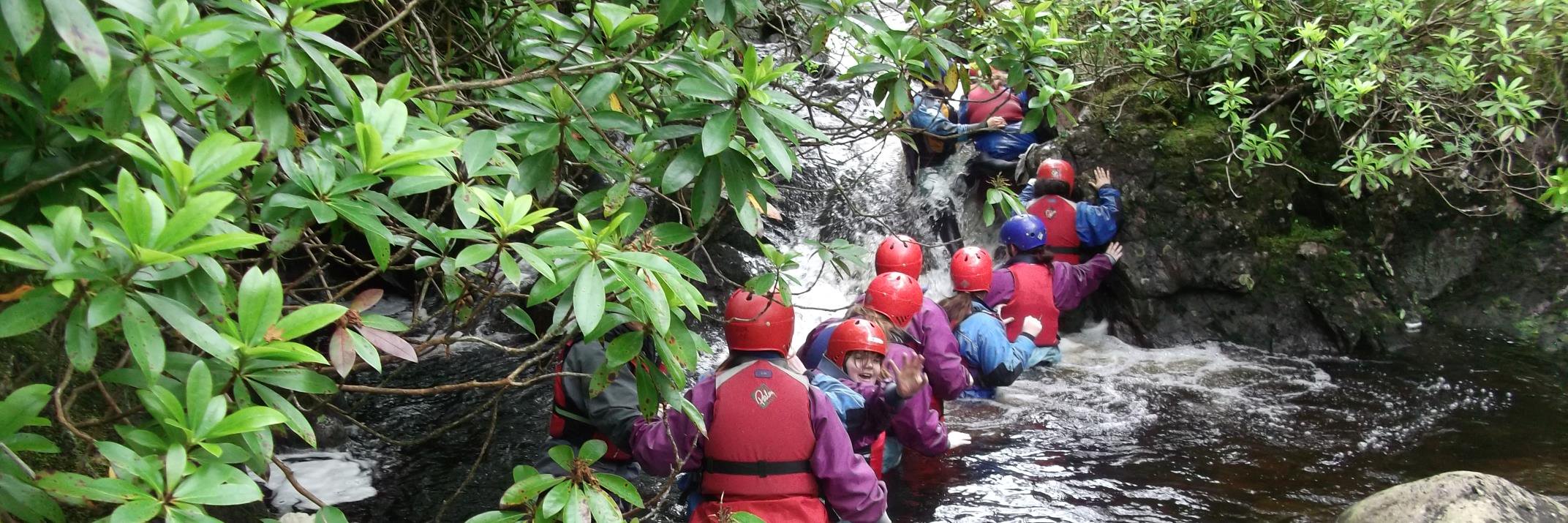 FersandsandFountain banner