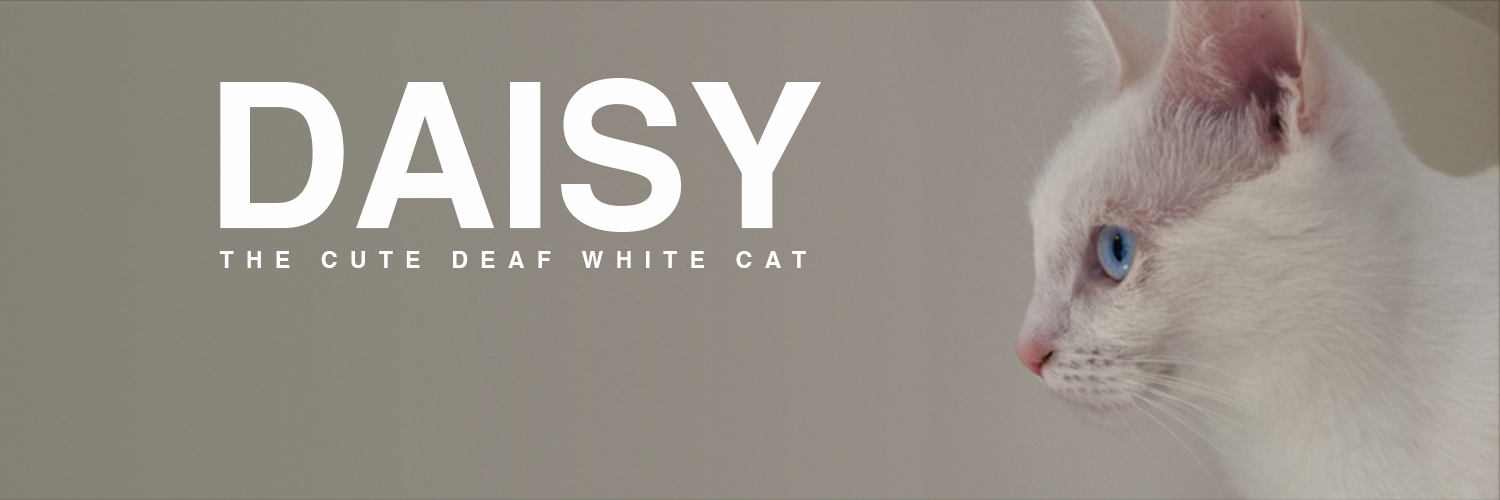 LittleDaisyDo's profile banner image