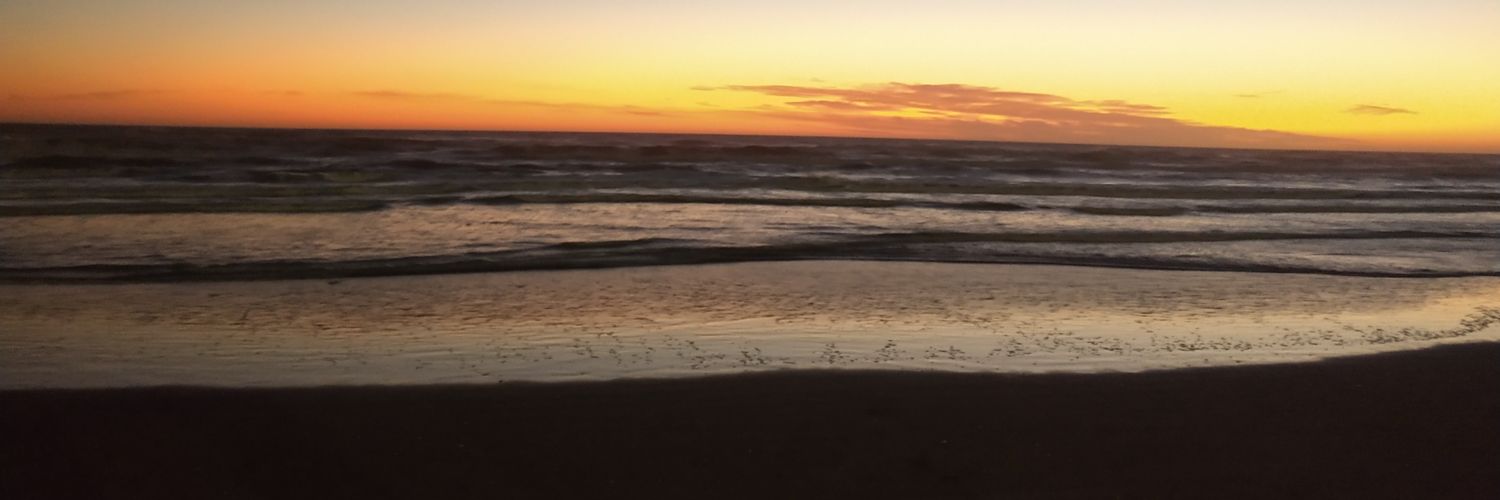 ailinariasllap1's profile banner image