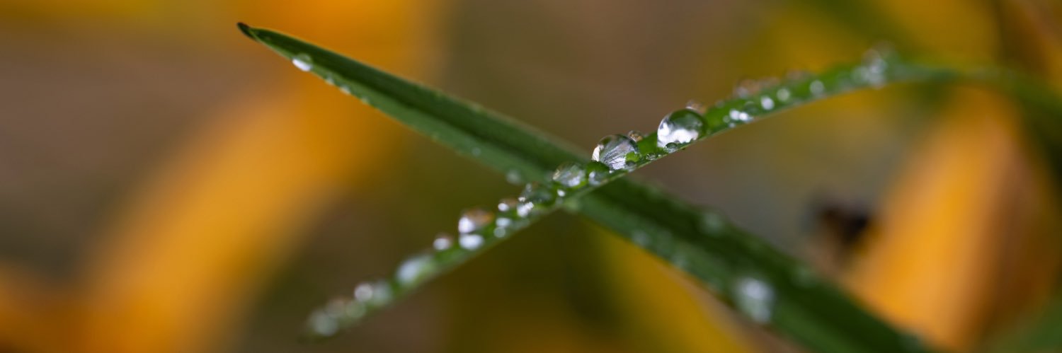 RebeccaGratz's profile banner image
