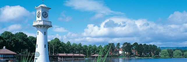 Roath Co-ordinator banner