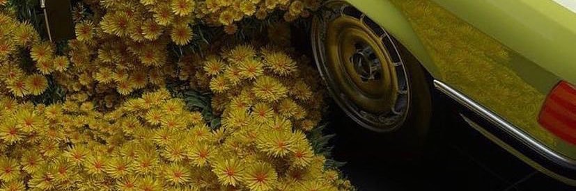 soannxx's profile banner image