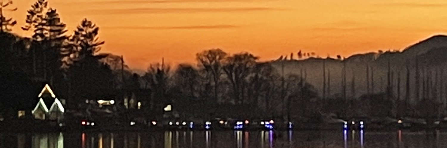 MartCumberbatch's profile banner image