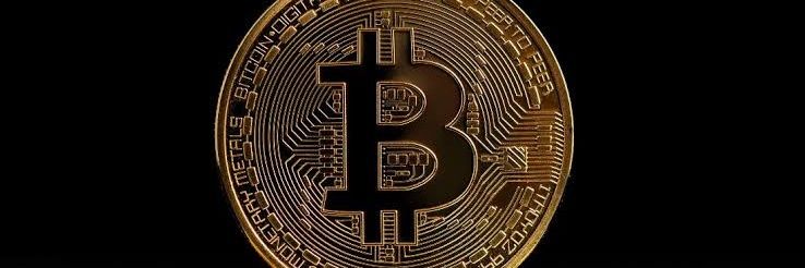 Guildford Stoute banner