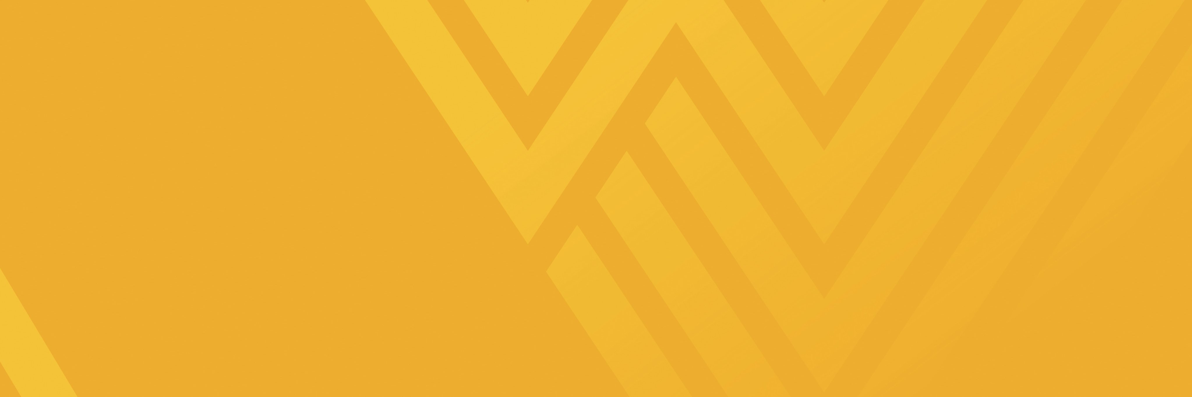 lcseesystems's profile banner image