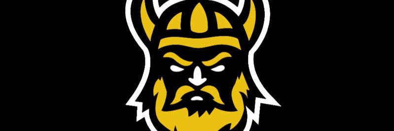 SMW Basketball banner