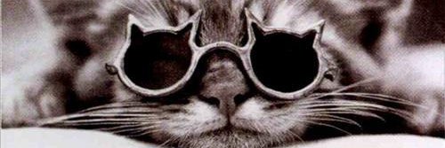 Stéph Tschann banner