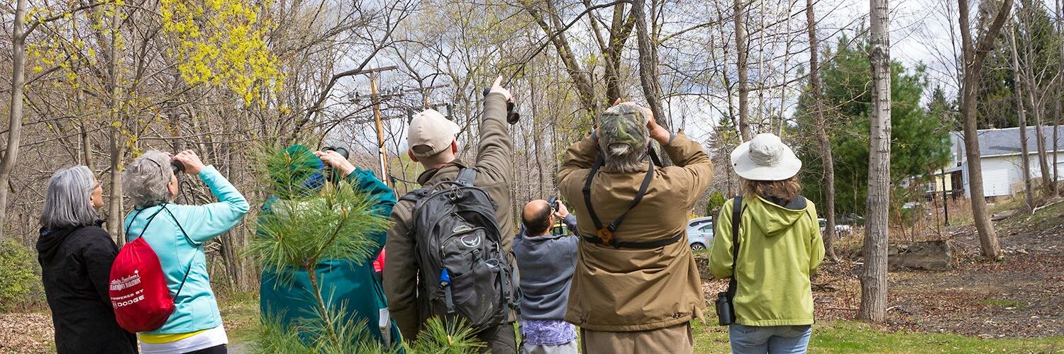 Northeast PA Audubon banner