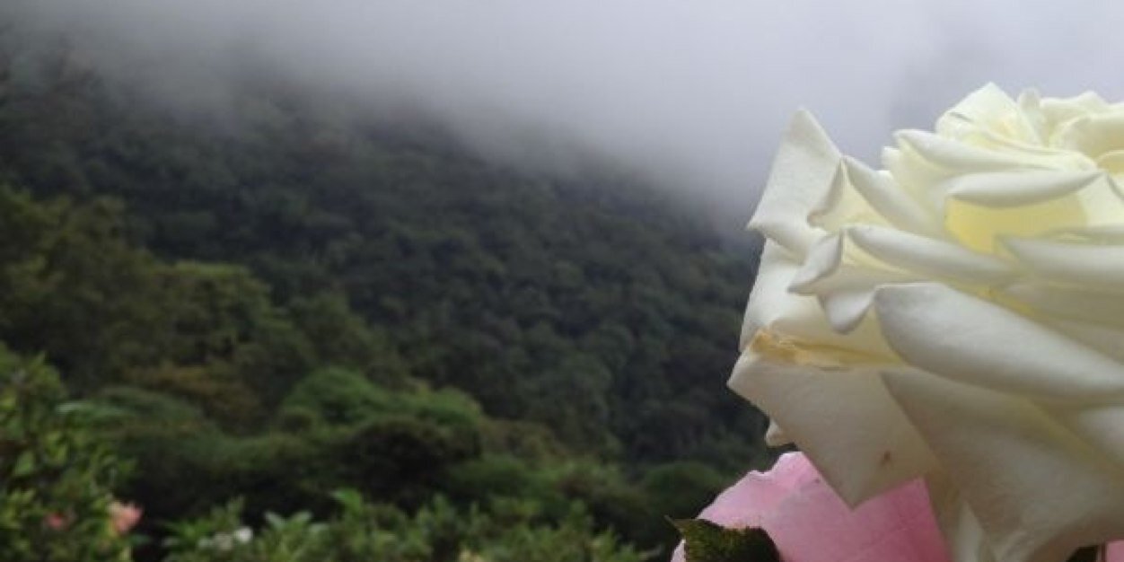 ssoffia11's profile banner image