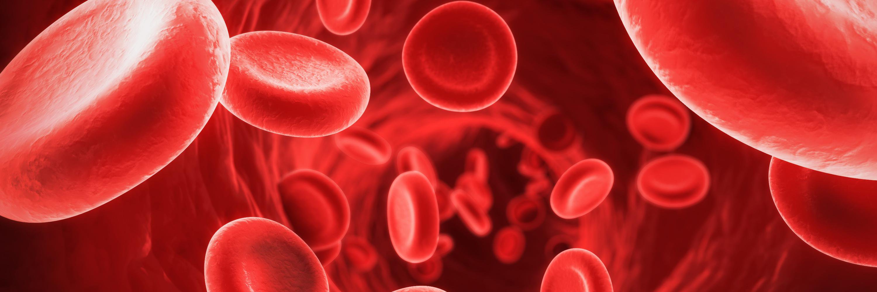 bloodbeyond's profile banner image