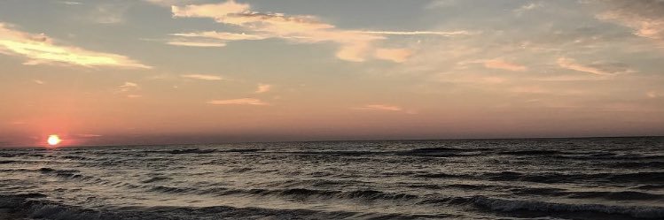 elisaascala's profile banner image