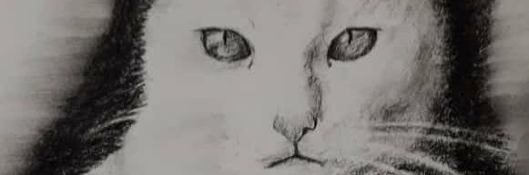 marciaverde's profile banner image