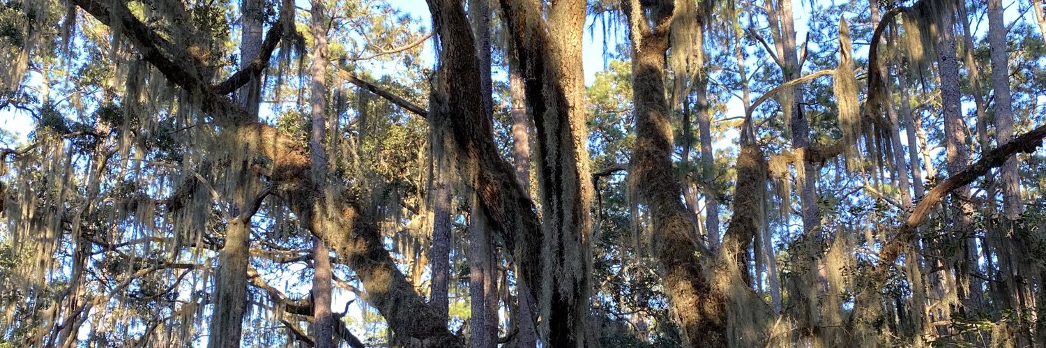 MohlerRhys's profile banner image