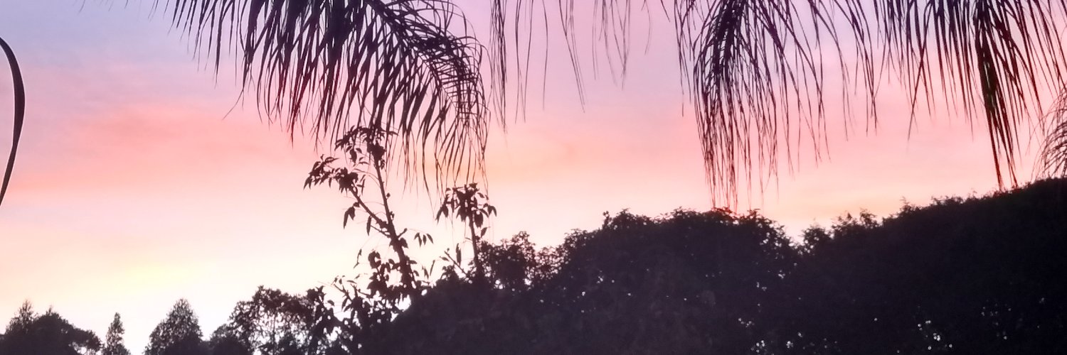 Patricia Buglian banner