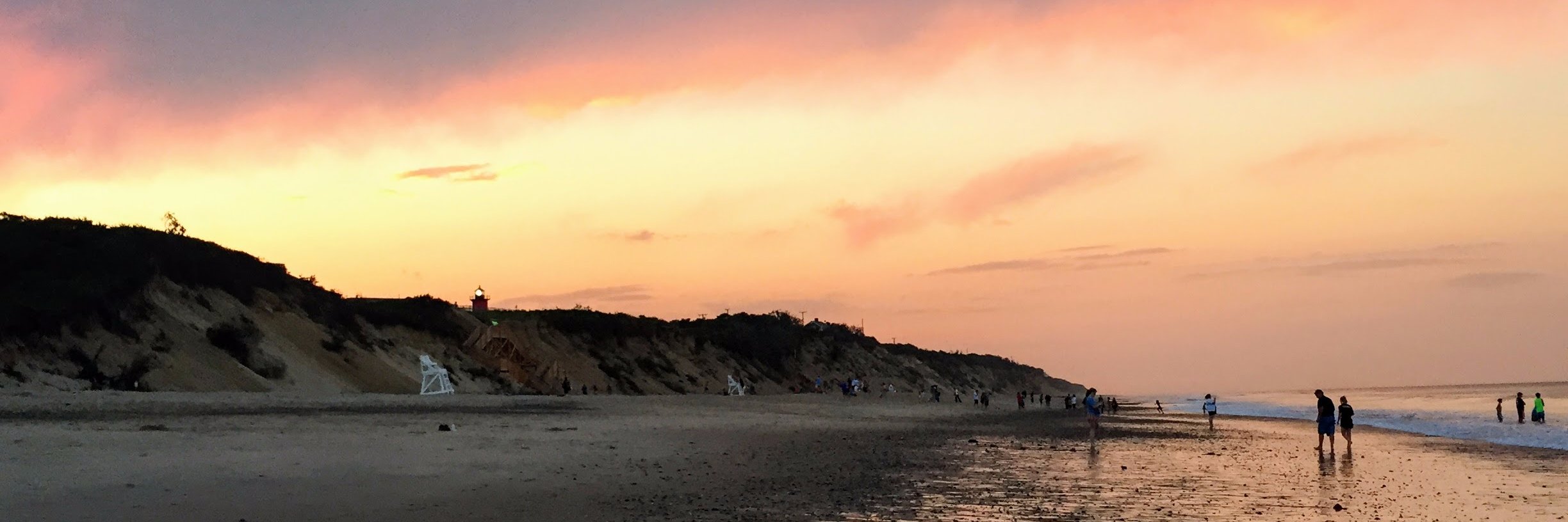 Jamie Collins banner