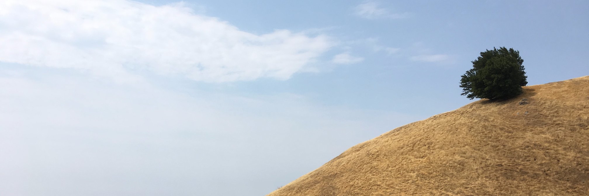 jccheng_'s profile banner image