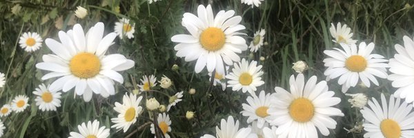 RDoogue Profile Banner