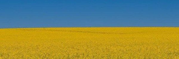 PSAPolHist Profile Banner