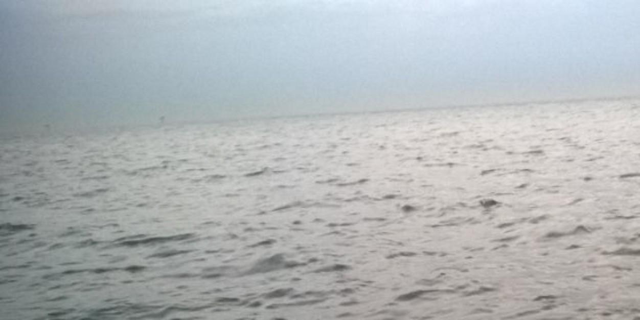 Layalialali's profile banner image