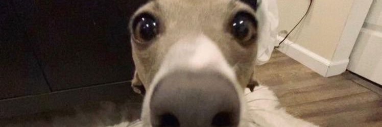 FacuuLarezca's profile banner image