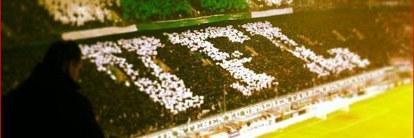 Ex-Königsklassefohlen banner