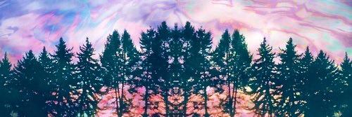 3rdEyeSarah's profile banner image