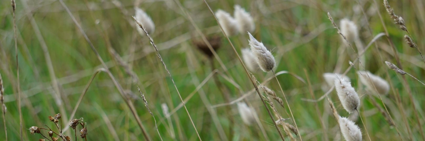 maryline_utner's profile banner image