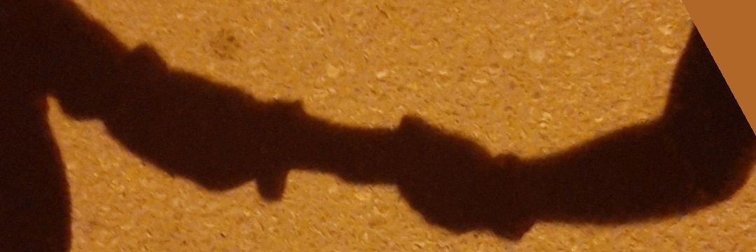 kashory7's profile banner image