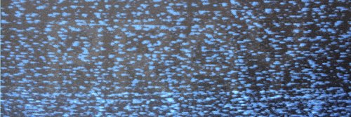 lowkeysnail's profile banner image