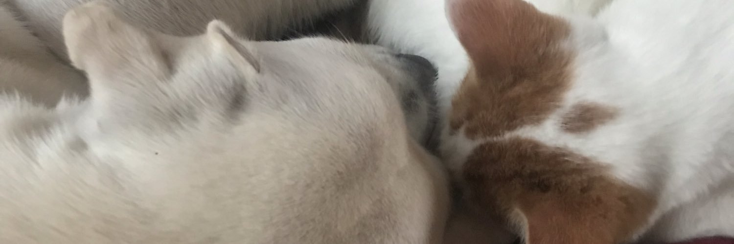 CesarzMary's profile banner image