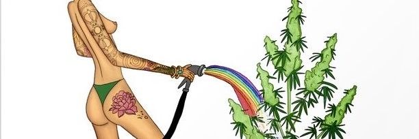 trugemini banner