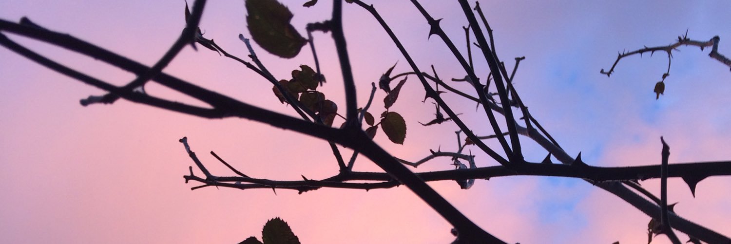 delightfully_k's profile banner image