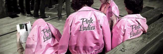BenignPinkLady's profile banner image