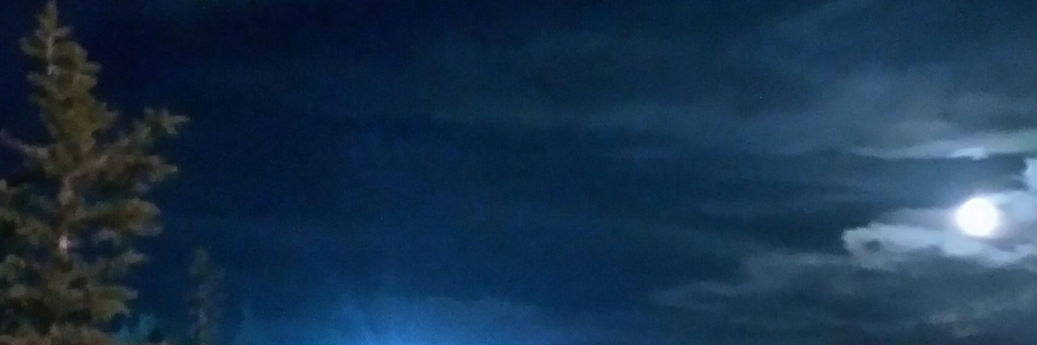 angora34's profile banner image