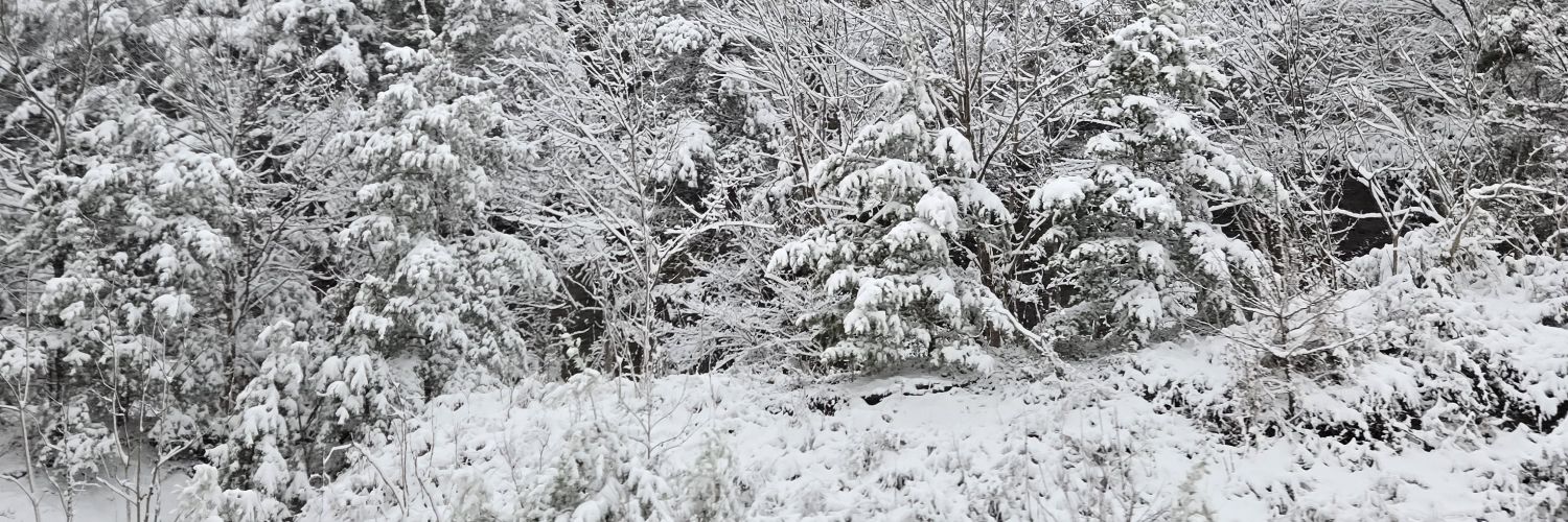 American patriot banner