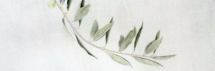 Glucomania's profile banner image