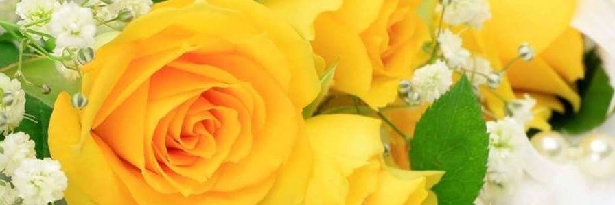Billcass66's profile banner image