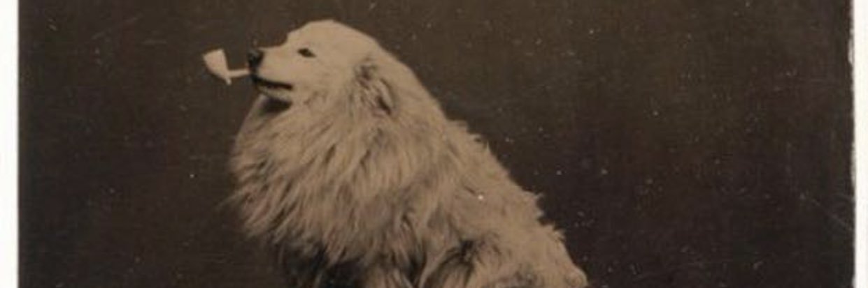 alemars28's profile banner image