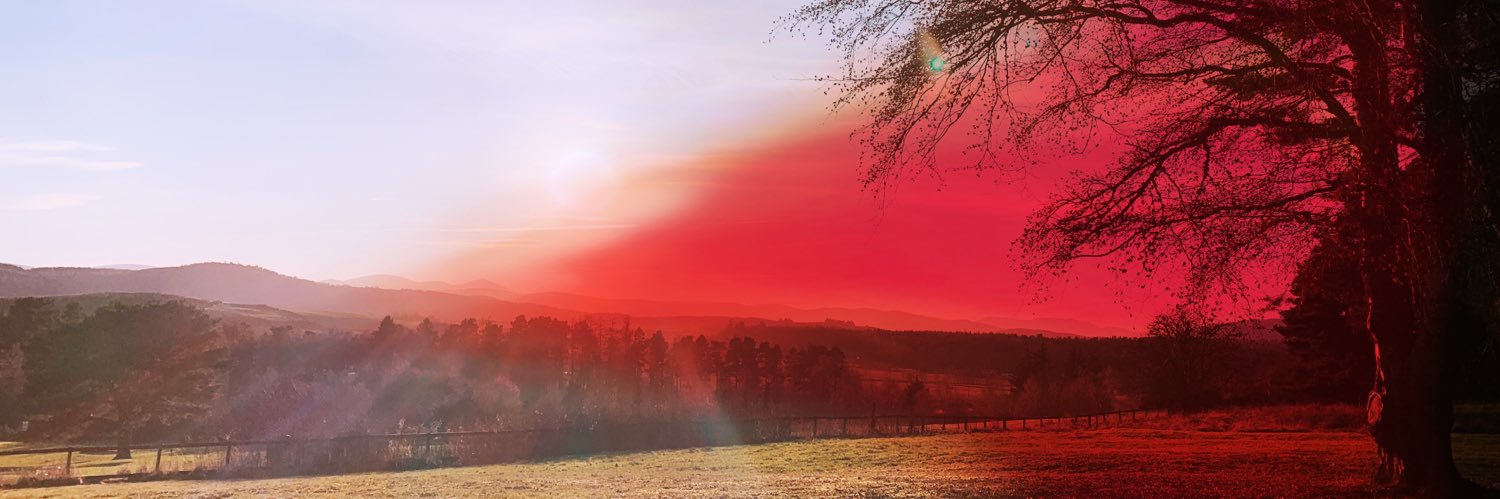 __RoseAmanda's profile banner image